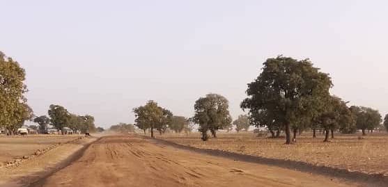 Mirigu Project Image 2